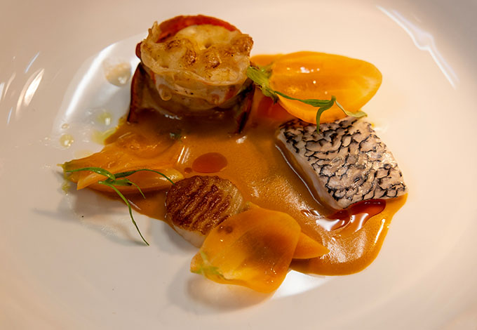 ducasse marcolongo 06